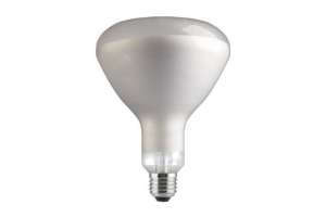 Infrarotlampe R125 250W E27 240V klare Kuppe