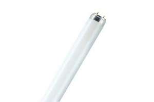 Fluoreszenzlampe T8 36W F865
