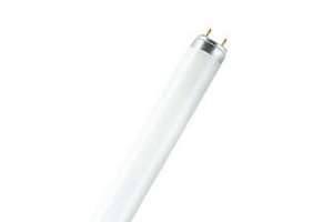 Fluoreszenzlampe T8 36W F830