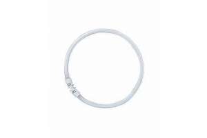 Fluoreszenzlampe Ringform T5 22W F830 2Gx13