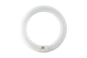 Fluoreszenzlampe Ringform T9 32W F830 G10q